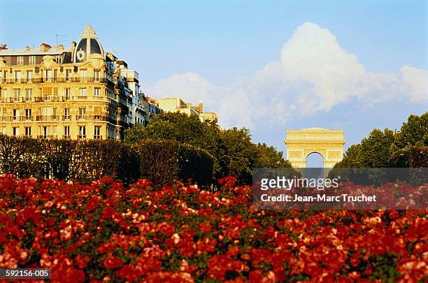 france, paris, view over flower bed in bloom to arc de triomphe - over de 90 stock pictures, royalty-free photos & images