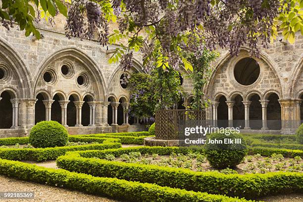 fontfroide abbey, cloister with wisteria - aude fotografías e imágenes de stock