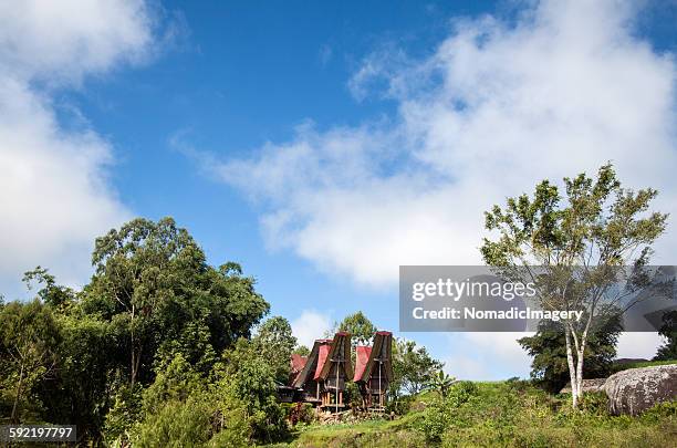 rural countryside in sulawesi - toraja stock pictures, royalty-free photos & images