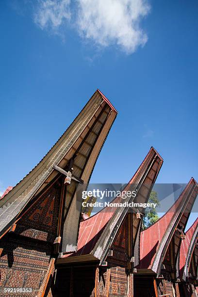 tongkonan architectural design - toraja stock-fotos und bilder