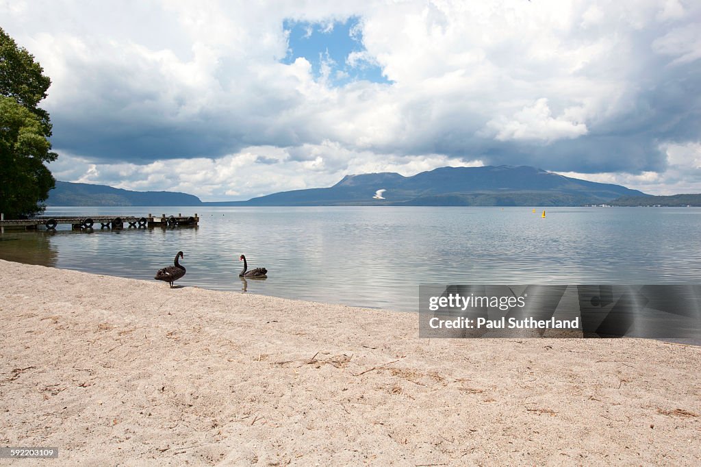 Lake Tarawera,Central North Island,New Zealand