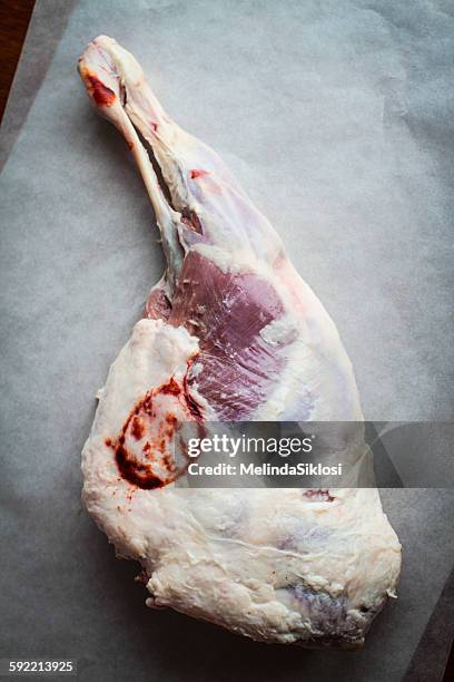 leg of lamb - gigot stock pictures, royalty-free photos & images