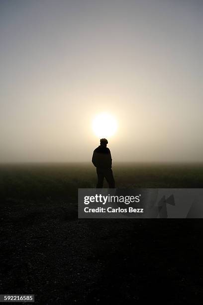 man standing in a field - farmer dawn stock pictures, royalty-free photos & images