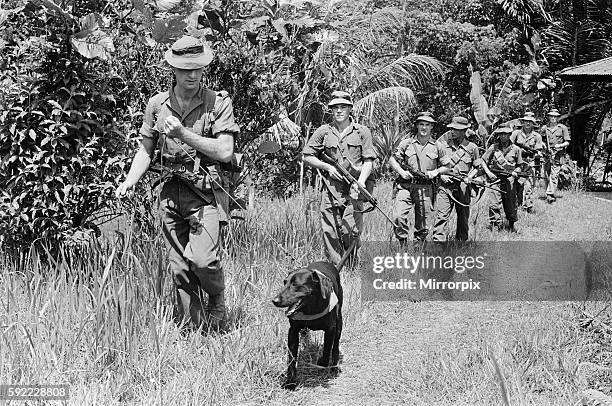 British Borneo Photos and Premium High Res Pictures Getty Images