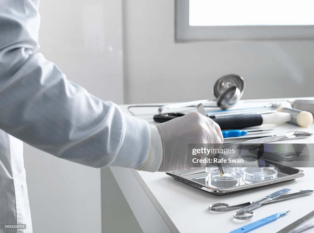 Pathologist Definition Pathologist Taking A Sample For Analysis During A Autopsy High-Res ...