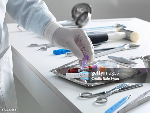 pathologist taking a sample for analysis during a autopsy - autopsie stock-fotos und bilder