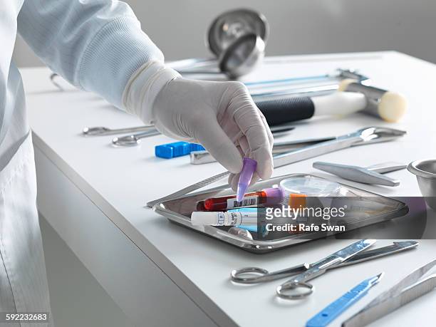 pathologist taking a sample for analysis during a autopsy - depósito de cadáveres fotografías e imágenes de stock