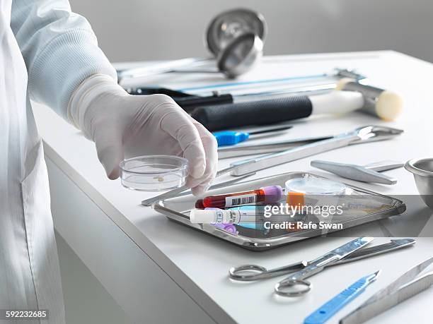 pathologist taking a sample for analysis during a autopsy - pathologist stock pictures, royalty-free photos & images