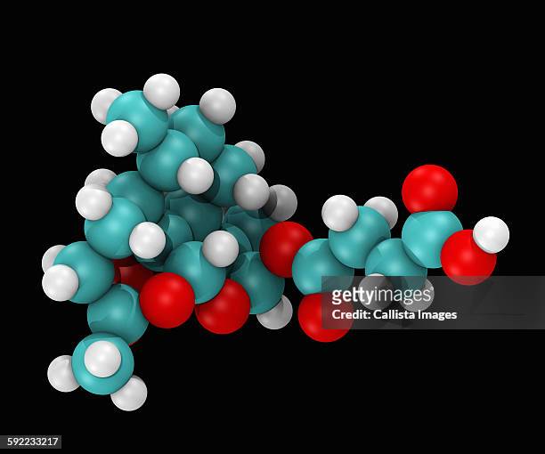 space filling molecular model of artesunate, a member of the artemisinin group of drugs that treat malaria - state college - pennsylvania photos et images de collection