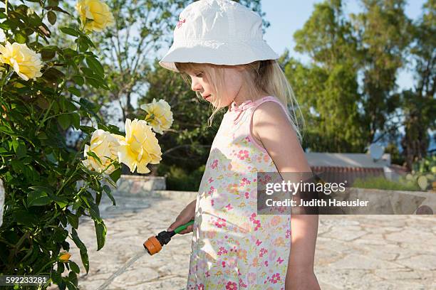 girl wearing sunhat watering roses - rosa hose stock pictures, royalty-free photos & images