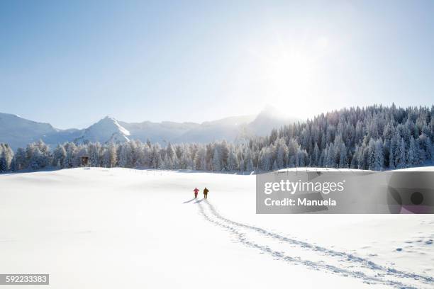 snow tracks of senior couple walking to trees and mountain range, sattelbergalm, tyrol, austria - winter landscape fotografías e imágenes de stock