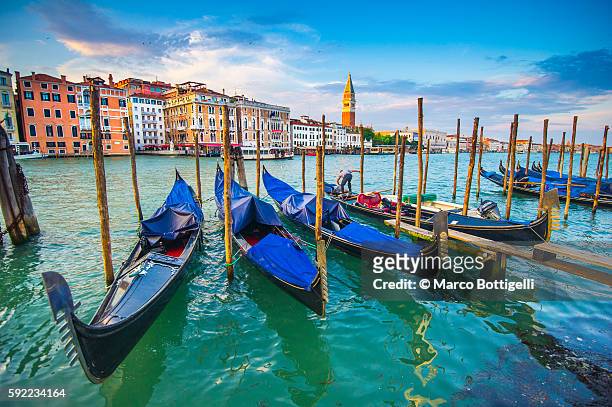 gondolas moored in grand canal. venice, veneto, italy - venetian bildbanksfoton och bilder