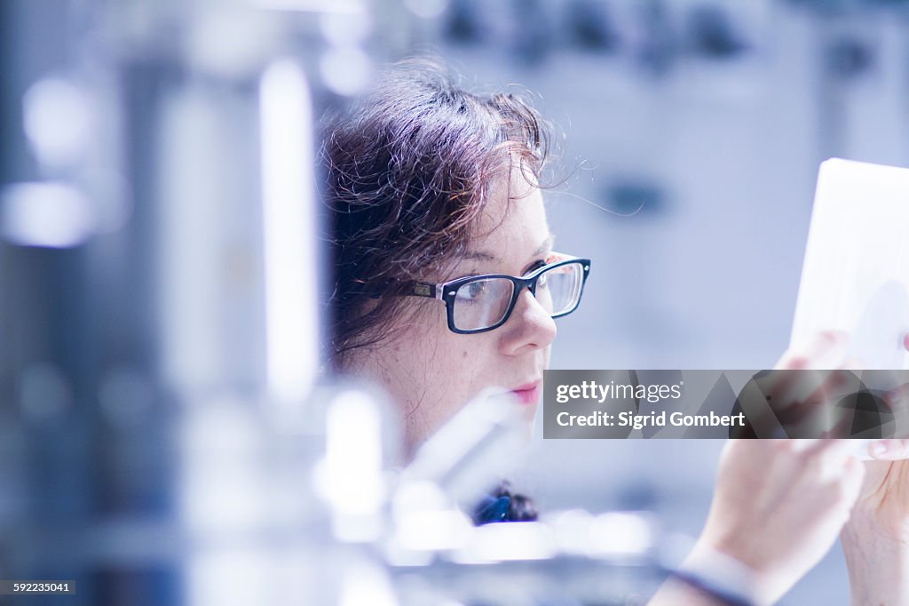 Technician working in laboratory