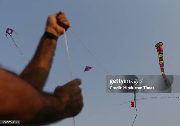 Kite Flying - Kites of different shapes flied by Golden Kite Club at Marine Drive.