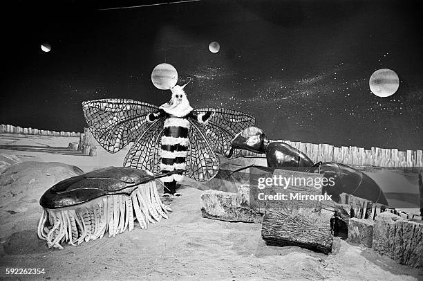 Bill Strutton Doctor Tv Show Photos and Premium High Res Pictures - Getty Images