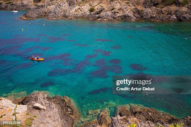 summer view of the costa brava beach with beautiful colors and people swimming in the water. - cap de creus stock pictures, royalty-free photos & images