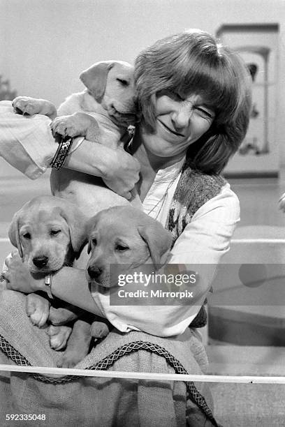 Lesley Judd. "Blue Peter" and Puppies. January 1975 75-00022-002