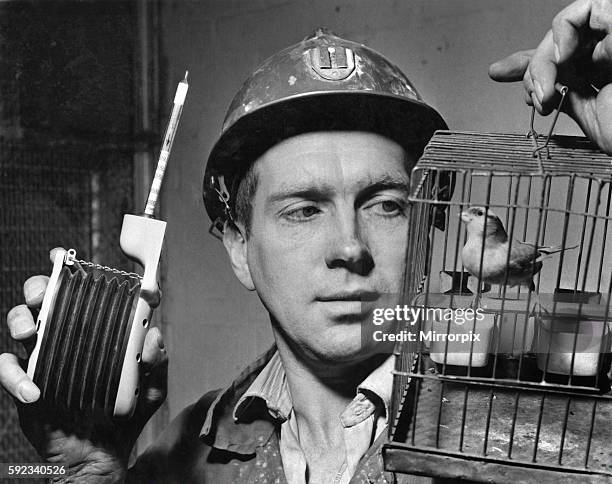 With one of the canaries, one of the devices, that are rapidly putting the canaries out of business, as gas detectors in mines.. The gas detecting...