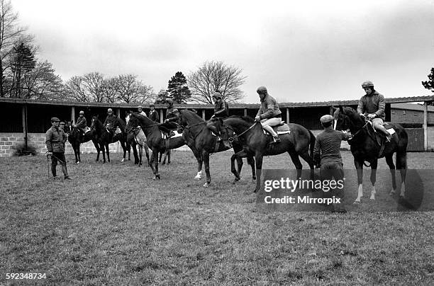 "All the Queens Horses". At West Ilsley, Berks trainer Major W. R. Hern stands in front of the 13 horses for the Queen. Left to right: Back row Star...