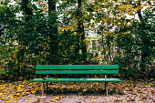 Empty Bench By Trees In Park
