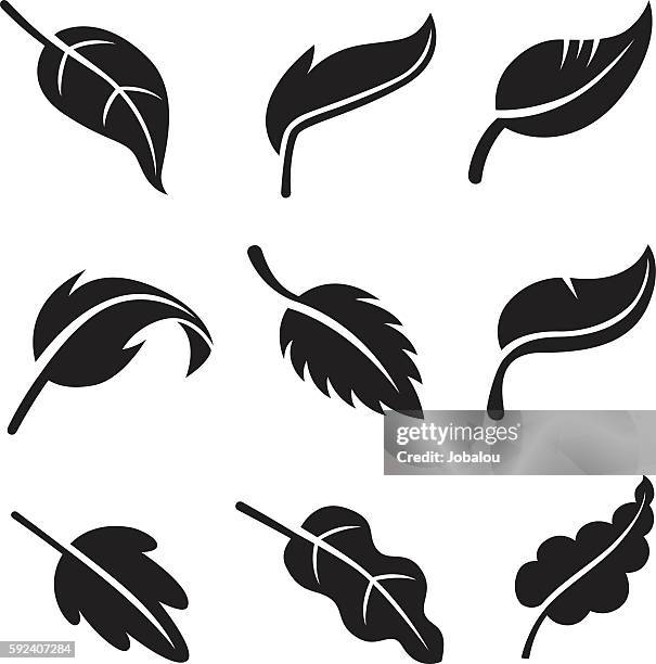 set stylized leaves - oak leaf vector stock illustrations