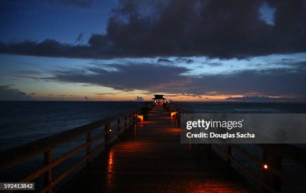 dusk at the scenic pier, naples city pier, naples, florida, usa - ravenala stock pictures, royalty-free photos & images