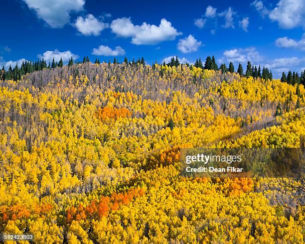 aspen vista overlook - santa fe stockfoto's en -beelden