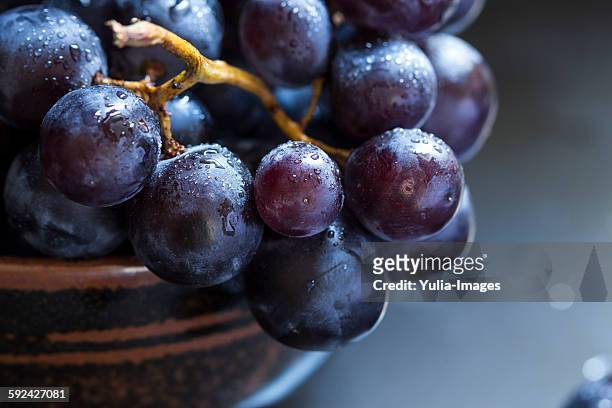 bowl of juicy ripe black grapes - frische stock-fotos und bilder