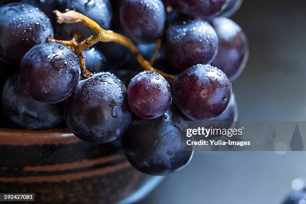 bowl of juicy ripe black grapes - uva imagens e fotografias de stock