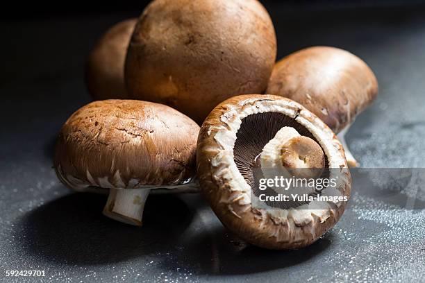 fresh agaricus bisporus mushrooms - champignon stockfoto's en -beelden