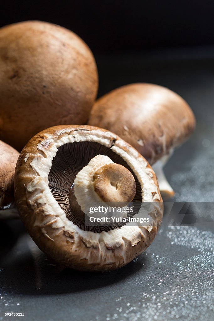 Fresh agaricus bisporus mushrooms