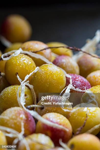 ripe yellow mirabelle plums on a dark background - mirabelle stock-fotos und bilder