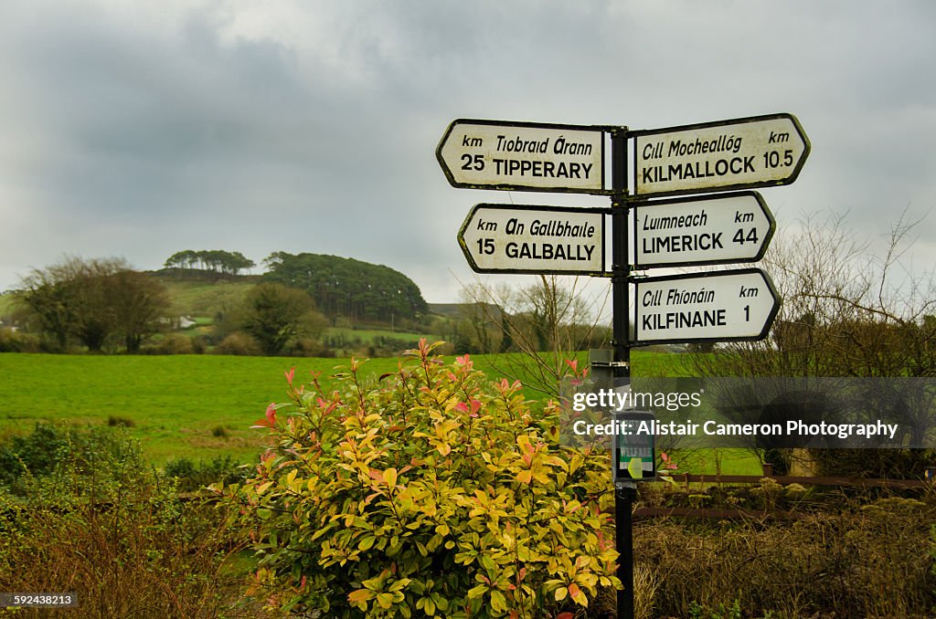 Limerick Sign Post Road Sign In Limerick Ireland High-Res Stock Photo - Getty Images