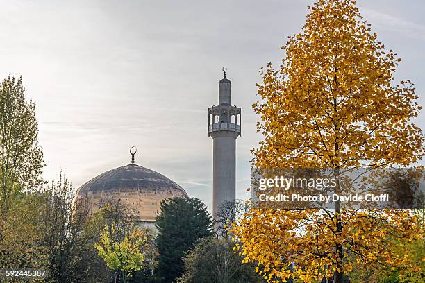 london central mosque - regent's park stockfoto's en -beelden