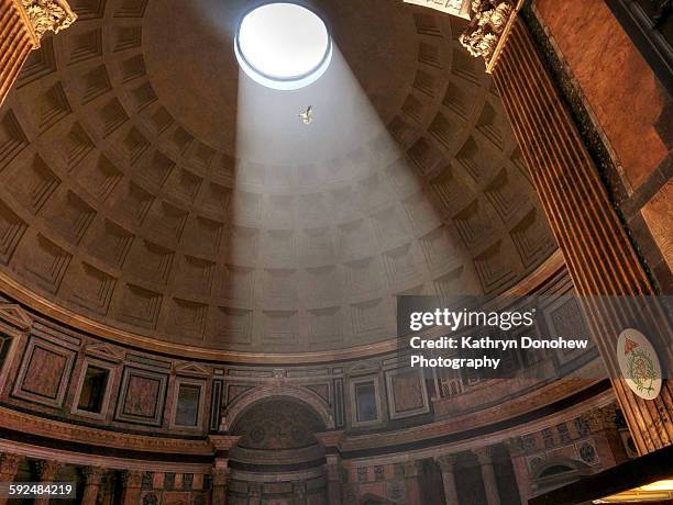 pantheon with sunlight and bird - pantheon rome stockfoto's en -beelden