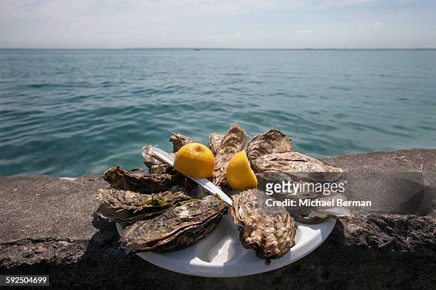 shucked oysters in france - cancale fotografías e imágenes de stock