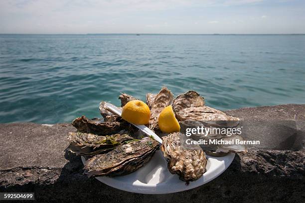 shucked oysters in france - cancale bildbanksfoton och bilder