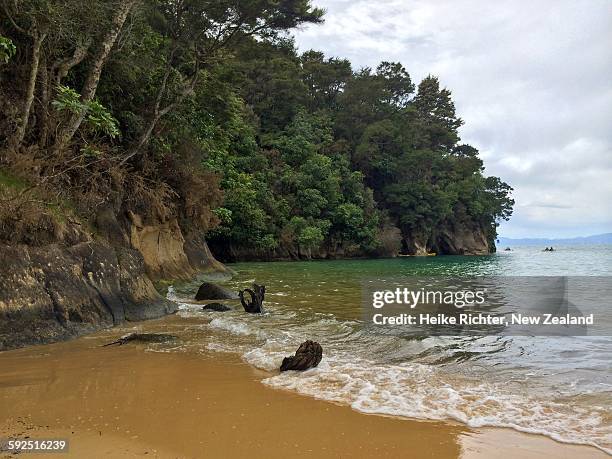 new zealand beach landscapes - kaiteriteri stock pictures, royalty-free photos & images