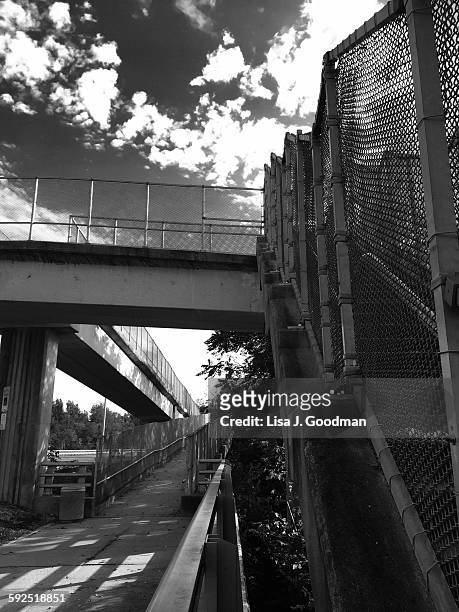 black and white - trenton bridge bildbanksfoton och bilder