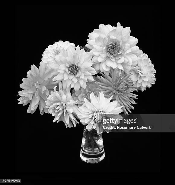 black and white - glass vase black background foto e immagini stock