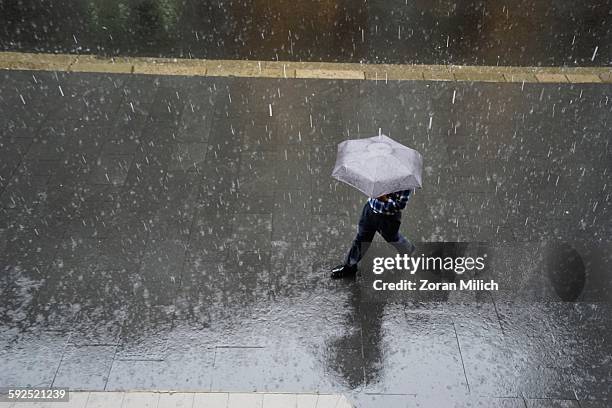 extreme weather - sydney rain stock pictures, royalty-free photos & images