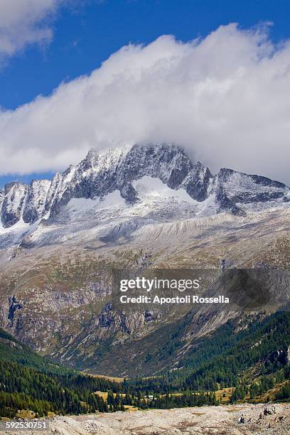 val di fumo, adamello brenta - fumo stock pictures, royalty-free photos & images