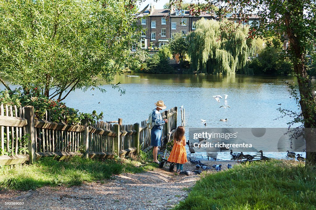 Mom and young girl feeding Swan, Hampstead Heath