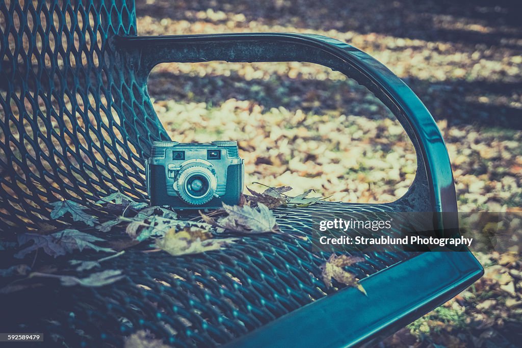 Sunday morning in the park