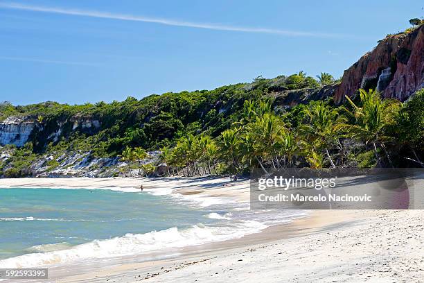 praia do espelho in trancoso - trancoso stock pictures, royalty-free photos & images