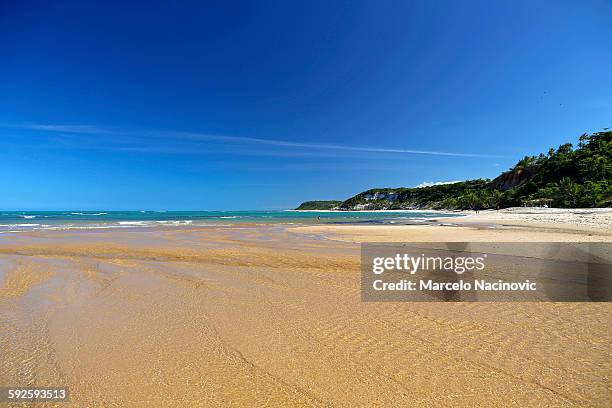 praia do espelho in trancoso - espelho stock pictures, royalty-free photos & images