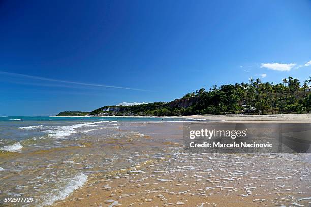 praia do espelho in trancoso - espelho stock pictures, royalty-free photos & images