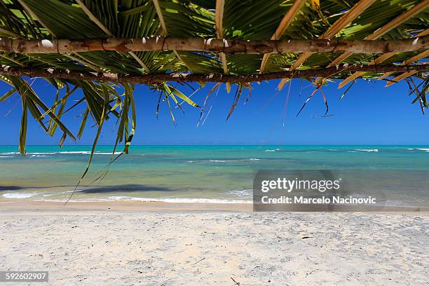 praia do espelho in trancoso - espelho stock pictures, royalty-free photos & images