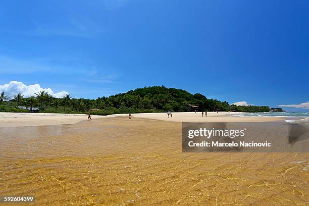 praia do espelho in trancoso - espelho stock pictures, royalty-free photos & images