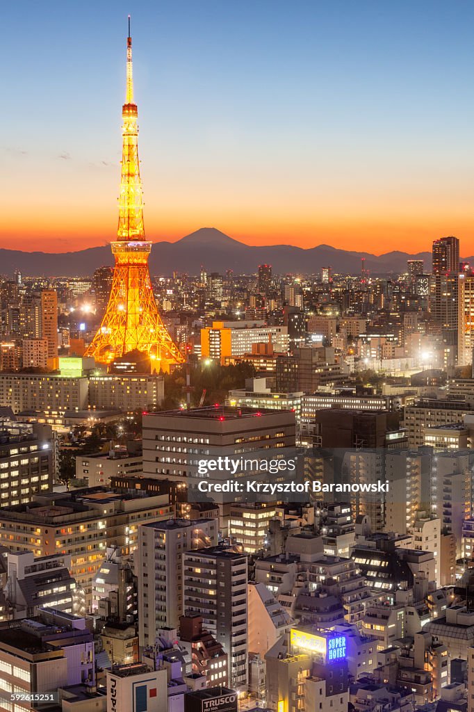 Tokyo Cityscape